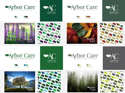 Arbor Care Tree Solutions Color Trials brand development branding color palettes color theory corporate identity logo design
