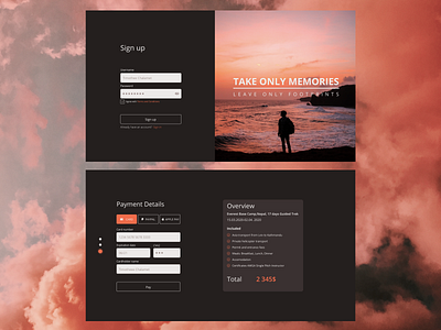 UI design for Sign In and Payment pages dark theme dark ui payment form sign in uidesign
