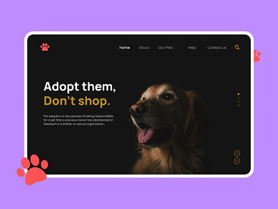Paws - Pet Adoption Landing Page adopt adoption animals cat dogs landing page puppy sri lanka ui web design zoo