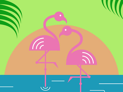 Flamingos animals design flamingos illustration