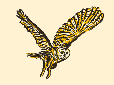 Barred Owl barredowl digital illustration owl