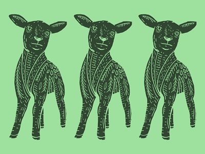Lamb illustration lamb
