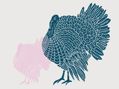 Turkey illustration turkey