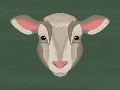 Lamb green head illustration lamb nose vector