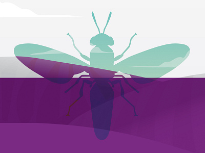 Black Soldier Fly black soldier fly illustration purple sky