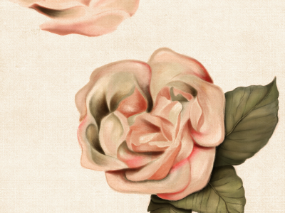 Vintage Roses