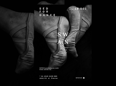 SWAN A WAY TO FLY art art direction artwork branding creative design dancers design layoutdesign logo music poster print swan