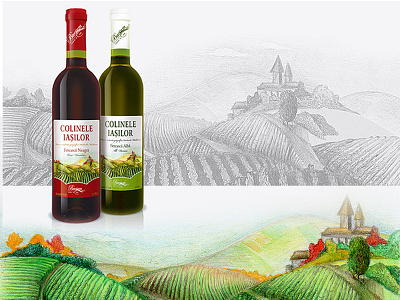 Wine Packaging advertising crayons graphic design landscape pachaging photoshop print traditional drawing