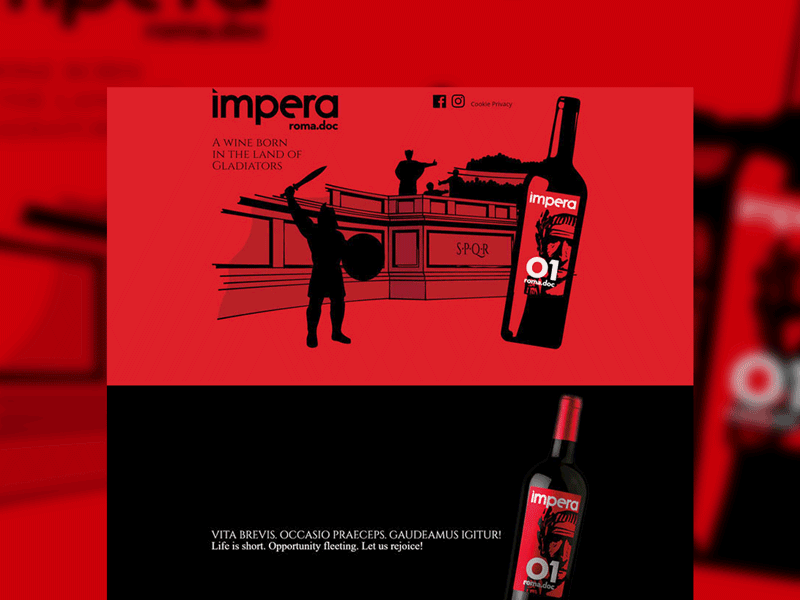 Impera Wine | Website illustration webdesign website