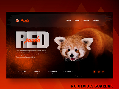 Red Panda - UI animals design gradients graphic design interface landing page modern modern design orange panda red panda ui ux web design
