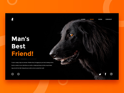 Man's Best Friend! design dribbble flatdesign gradients graphic design interface landing page minimal minimalist modern ui ux web design