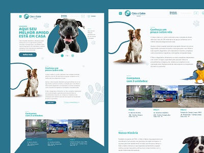 Cães e Gatos - Website animais animals branding cat design dog graphic design illustration logo typography ui ux vector vet veterinarian webdesign