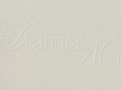 Deandra's Nest Logotype brand identity branding design graphic design logo logodesign logotype serif type typography