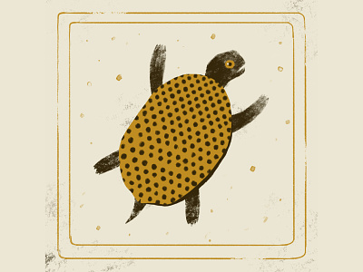 Turtle | Animeux Serie animal animal illustration card charles darwin gritty illustration ocean old painting sea creature sea turtle shell texture tortoise turtle turtle character turtle illustration turtle logo