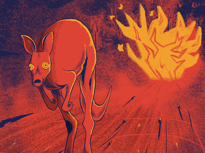 Australia Apocalypse animal australia australia fire australian bushfire farhay fire fire illustration flames florian farhay forest forest animals forest fire kangaroo nature nature illustration outback wildfire wildlife