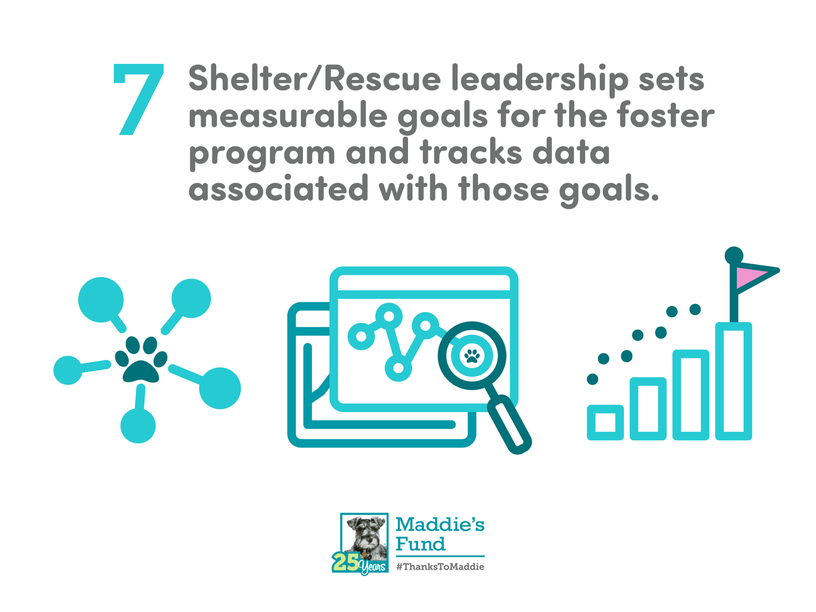 Maddie's Fund - 7th Guiding Principle for Foster Programs animal cat data dog foster care goals icons illustration infographic paw rescue shelter tracking