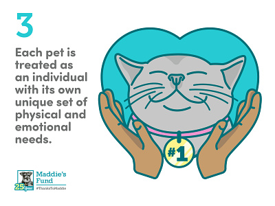Maddie's Fund - 3rd Guiding Principle for Foster Programs 1 animal cat emotional foster care gray cat heart icons illustration infographic love pet rescue shelter unique