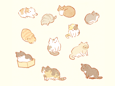 Cats cat cats drawing illustration