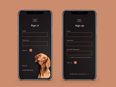 Sign Up UI