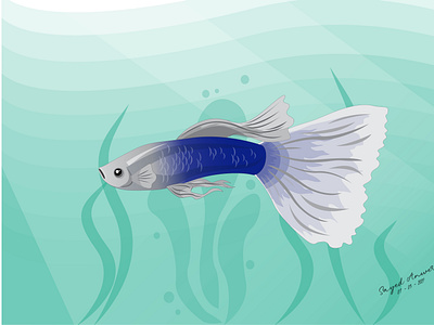 Tuxedo Guppy Vector art exclusive fish illustration pets trendy unique vector