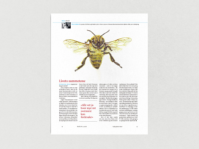 STREK Magazine illustration（Bee） animals book design illustration japanese magazine イラスト