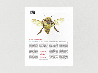 STREK Magazine illustration（Bee）