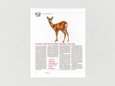 STREK Magazine illustration（Deer） animal book design illustration japanese magazine イラスト デザイン