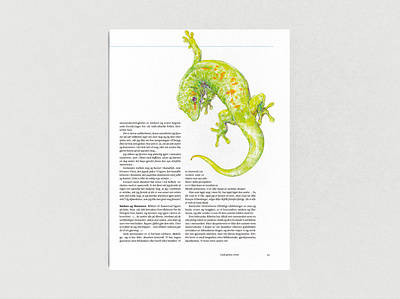 STREK Magazine illustration（Gecko） animal book design illustration japanese magazine イラスト デザイン