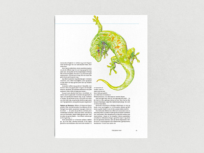 STREK Magazine illustration（Gecko）