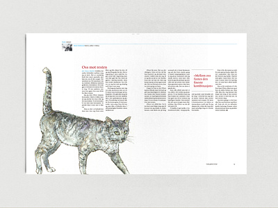 STREK Magazine illustration（Cat）