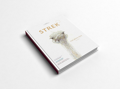 STREK Magazine illustration（Ostrich） bird book cover design illustration illustrator magazine watercolour