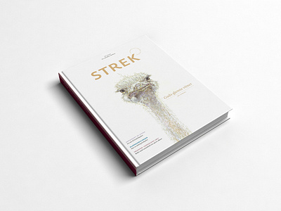 STREK Magazine illustration（Ostrich）