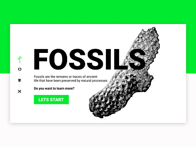 Group 698 fossil fossils green neon ui ui design uxui
