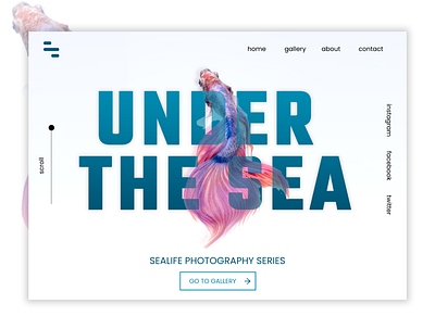 UI design for Sealife Photography Series design minimal ui ux web website