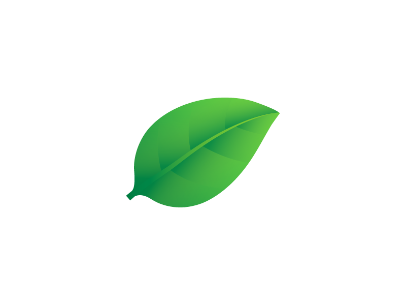 Basil Leaf by Social Design House on Dribbble