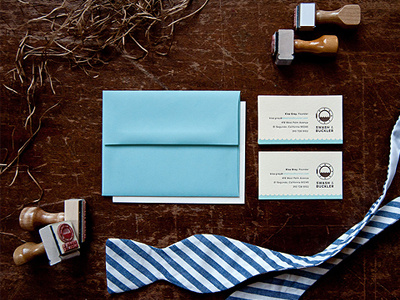 Swash & Buckler Identity