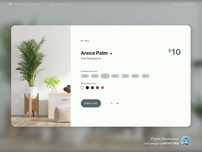 Plant Center design flat minimal ui ux web website design