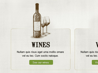 Wines illustration sketch web design