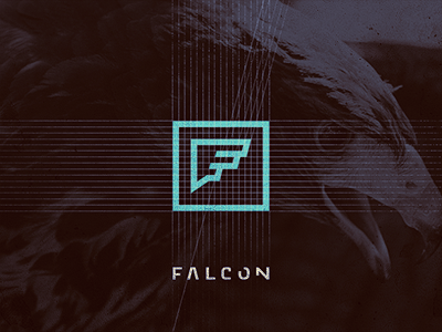 Falcon design falcon logo programming