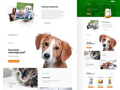 Pet Shop animals brown cat dog green orange pet shop pets shop shop page