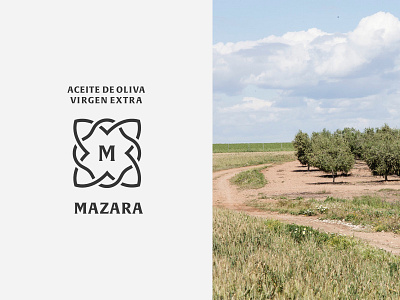 Mazara Logotype brand branding design icon logo typography vector