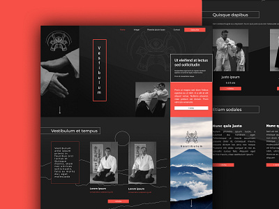 Aïkido club website design desktop martial art martial arts ui design ux ux design ux ui ux ui design web design webdesign website