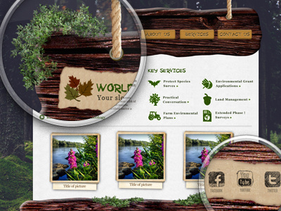 World Ecology ecology grass green site trees web wood world