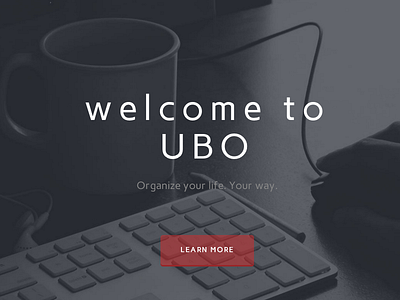 UBO Landing Page debut landing page ubo website