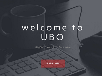 UBO Landing Page