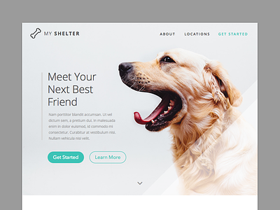 Landing Page (Above the fold) - Daily UI #003 003 dailyui dogs landing landing page shelter ui ux web design website