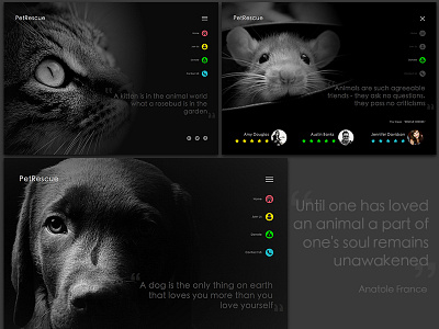 Pet Rescue Web Concept black clean colourful concept creative design minimal neat pet rate uiux website