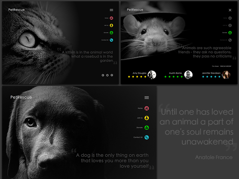 Pet Rescue Web Concept by Arvind Raj on Dribbble