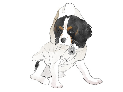 Dog Illustration