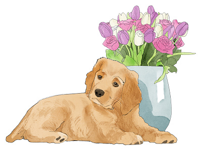 Dog Illustration animal animal illustration digitalart digitalillustration dog dog illustration flower flower illustration illustration magazine magazine illustration